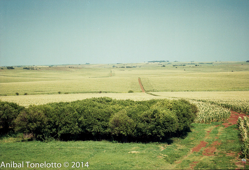 Campo e Produção 31.jpg